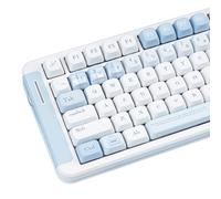TIMSEKER Cute Blue and White PBT Keycap Set, Dye Sublimation FOA Profile Round Keycap for ANSI ISO Layout Mechanical Gaming Keyboard, 145 Keys