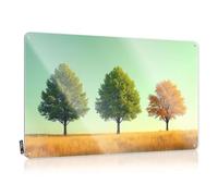 Tin Bar Signs Three Trees In Different Seasons. Tin Sign Boys Room Decor Teenager Tin Signs Camping Rules(30X40CM)