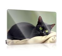 Tin Decor A Black Cat With Striking Green Eyes Rests On A Soft Blanket. Tin Sign Beer Tin Signs Vintage Sets Bar Mirrors For Man Ca(20X30CM)