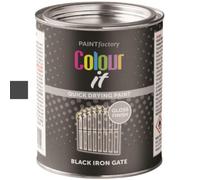 Tin Iron Gate Gloss Black 300Ml Durable Quick Drying Interior Exterior Brush On Paint 3069
