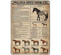 Tin Sign 4 Appaloosa Horse Knowledge Metal Poster Information Knabstrupper Vs Appaloosa Retro Tin Sign School Farm Bar Cafe Bedroom Bathroom Kitchen Home Art Wall Decoration Plaque
