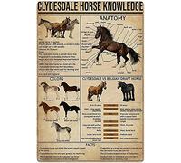 Tin Sign 4 Horse Knowledge Metal Tin Sign The Anatomy Of Clydesale Horse Retro Printing Poster School Ranch Cafe Bar Bedroom Bathroom Kitchen Home Art Wall Decoration