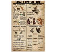 Tin Sign 5 Appaloosa Horse Knowledge Metal Poster Information Knabstrupper Vs Appaloosa Retro Tin Sign School Farm Bar Cafe Bedroom Bathroom Kitchen Home Art Wall Decoration Plaque