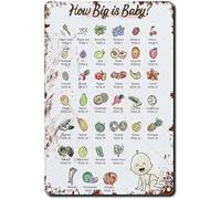 Tin Sign How Big Baby Fruit Chart Pregnancy Education Wall Art Baby Fruit Size Chart Wall Decoration Home Bar People Cave Office Shop Bathroom Signs Wall Decor 8"x12"