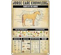Tin Sign Metal Vintage S Funny Horse Care Horse Knowledge Horse Horses Parts Foods Colic Sign Horse Lover Wedding Bar Decor Gift For Women Men 8x5.5 Inch