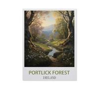 Tin Sign,Portlick Forest Ireland,Father's Day Gift Home Pub Outdoor Funny Retro Vintage Garden Bar Wall Plaque Man Cave Memorabilia(15x30cm)6x12 inch-AC10