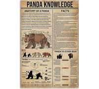 Tin Sign Zoo Panda Knowledge Metal Signs Novelty Poster For Kitchen Room Pub Bar M