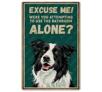 Tin Signs Excuse Me Were You Attempting To Use The Bathroom Alone Border Collie Vintage for Home Kitchen Bathroom Bar Wall Decor 8"x12"