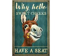 Tin Signs for Bar Why Hello Sweet Cheeks Have a Seat Poster Donkey Funny Poster Home Wall Decor Poster Donkey Wall Art 6x8 Inch