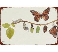 Tin Signs Monarch Butterfly Life Cycle Vintage Metal Painting Retro Vintage Poster Plaque, For Bar, Living Room, Bathroom, 30x40cm