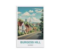 Tin Signs Retro Burgess Hill Sussex Tin Sign Plaque Poster Wall Art Decoration for Cafe Bar Restaurant Pub 15x30cm