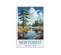 Tin Signs Retro,New Forest National Parks,Wall Art Decorative Plaque Decor for Home Livingroom Bedroom Cafes Coffee Bars Decoration Gifts 30x30cm