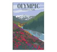Tin Signs Retro Olympic National Park Skyline Decoration for Home Wall Art Kitchen Bar Pub Room Farm Garage Vintage Retro Poster Plaque 30x30CM