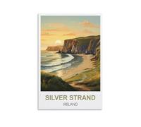 Tin Signs Retro Silver Strand Ireland Tin Sign Plaque Poster Wall Art Decoration for Cafe Bar Restaurant Pub 15 * 30cm