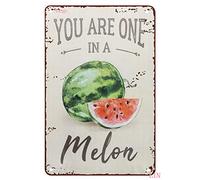 Tin Signs Vintage Funny Watermelon Fruit You are One in A Melon Wall Art Home Decor Gifts Lovers Metal Room 8x12 inch