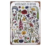 Tin Signs Vintage Wildflowers of Britain Greeting Card, flowers Metal Sign, floral card, Nature print, Nursery, Wildlife Print, Forest Illustration Metal Signs for Outside Home Decor