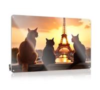 Tin Signs Warning Three Cats Admire The Eiffel Tower At Sunset Tin Sign Bar Accessories Man Cave Things For Boys Room(30X40CM)