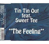 Tin Tin Out Feat. Sweet Tee - The Feeling