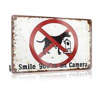 Tin Wall Decor Funky Room Decor Entryway Preppy Haves Prohibited: No Dog Pooping On Security Cameras Allowed - Easy To Hang Art(30X40CM)