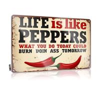 Tin Wall Decor Love Decor Ready To Hang - Life Is Like Peppers. Fun For Slow(30X40CM)