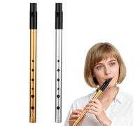 Tin Whistle, 2 Pcs Six-Hole Tin Whistle d, Slide Whistles, Suitable for Beginners, Ideal for Performing Classical Folk and Traditional Music