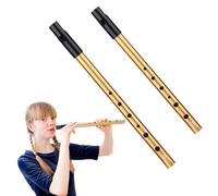 Tin Whistle, 2PCS Irish Penny Whistles for Traditional Celtic Music, C-Key & D-Key 6-Hole Aluminum Penny Whistle for Beginners Intermediate and Expert Band Performances(Gold)
