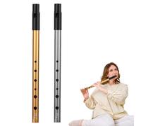 Tin Whistle D - 2 PCS, Perfect for Traditional Celtic Music, Six-Hole Penny Whistle Ideal for All Levels, Capture Ireland's Rich Heritage