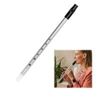 Tin Whistle D, D Tin Whistle, Irish Six-Hole Key Of d, for Beginners Intermediate and Expert Band Performances (Silver)