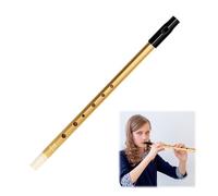 Tin Whistle D, D Tin Whistle, Irish Six-Hole Key Of d, for Beginners Intermediate and Expert Band Performances (Gold)