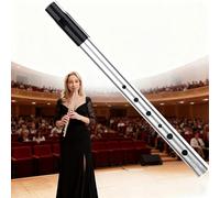 Tin Whistle D,D Tin Whistle,Six-Hole Key Of d,Irish D Six-Hole Penny Slide,for Beginners Intermediate and Expert Band Performances Perfect for Traditional Celtic Music(Silver)