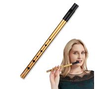 Tin Whistle D,D Tin Whistle,Six-Hole Tin Whistle Key Of d,Tin Whistles, Irish Tin Whistle,D Tin Whistles Perfect for Traditional Celtic Music - Gold(Irish Whistle D Tune)