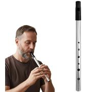 Tin Whistle D for Beginners - Six Hole Penny Whistle Irish Wind Instrument with Clear Tone, Anti-Oxidation Silver Finish & Starter Kit (Includes Pouch & Fingering Chart)