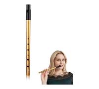 Tin Whistle D,Irish Tin Whistle Beginners D-Key 6-Hole Aluminum Penny Whistles Kids Instruments Wind,Black Golden Irish Flute Instrument for Beginners Performances(Comes With Study Manual/Flute Bag)