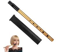 Tin Whistle D, Irish Tin Whistle for Beginners, Gold Six Hole Irish Flute, Premium Slide D Penny Whistles for Beginners Intermediate and Expert Band Performances(Comes With Study Manual/Flute Bag)