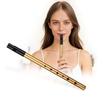 Tin Whistle D, Irish Tin Whistle for Beginners, Six Hole Irish Flute, Premium Slide D Penny Whistles for Beginners Intermediate and Expert Band Performances(Comes With Study Manual/Flute Bag)