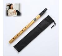 Tin Whistle D Key 6-Hole Irish Whistles, Penny Whistle Aluminum D-Key with Carry Bag, Traditional Musical Instrument for Beginners Professionals Folk Music and Daily Playing, Clear Bright Sound, Gold