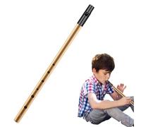 Tin Whistle D Penny Whistle Irish Six-Hole Traditional Musical Instrument for Beginners Expert Performance Children's Gifts Gold