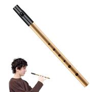 Tin Whistle D, Penny Whistles, Irish Tin Whistle D, Premium Six-Hole Penny Slide Whistles for Beginners, ABS Resin Nozzle Safe Inlet Easy, for Beginners Intermediates Expert Band Performances (Gold)