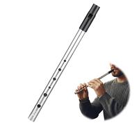 Tin Whistle D, Silver D-Tune 6-Hole Penny Whistle with Beautiful Tone, D Key Metal Flute for Traditional Folk Music Beginners & Traditional Celtic Music Lovers