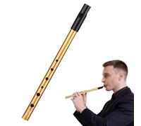 Tin Whistle D, with Storage Bag, Six-Hole Gold Penny Whistle for Beginners, Profession Irish Tin Whistle Key D for Band Performances, Easy to Blow, ABS Resin Nozzle and Natural Inlet