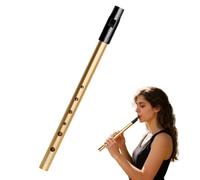 Tin Whistle Irish Penny Whistles Six-Hole Tin-Whistle D Premium Wind Instrument for Beginners Intermediate and Expert Band Performance, Gold, D-major