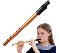 Tin Whistle Irish Tin Whistle D Premium Six-Hole Brass Flute Easy Play Whistle for Beginners Intermediate Expert Traditional Irish Folk Celtic Music Practice School Band(Gold)