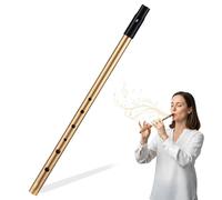 Tin Whistle, Irish Tin Whistle D, Six-Hole Penny Whistles for Beginners, Gold-Plated Brass Wind Instrument with Anti-Oxidation Finish for Traditional Celtic Music