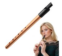 Tin Whistle Penny Irish D Premium Six-Hole Penny Slide Whistles Perfect for Traditional Celtic Music for Beginners Intermediate and Expert Band Performances(Gold)