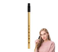 Tin Whistle Penny Whistle Six-holed TinWhistle C Irish Flute Traditional Instrument Key of C Perfect Musical Instruments for Traditional Celtic Music Beginners Expertc Intermediates Flute Enthusiasts