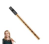 Tin Whistle,Penny Whistles,Irish Tin Whistle D,Premium Six-Hole Penny Slide Whistles,for Beginners Intermediate and Expert Band Performances(Gold)