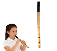 Tin Whistle, Penny Whistles, Irish Tin Whistle D, Premium Six-Hole Penny Slide Whistles, for Wind Instrument Beginners Intermediate and Expert Band Performances (Gold)