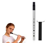 Tin Whistle, Penny Whistles, Irish Tin Whistle D, Premium Six-Hole Penny Slide Whistles, for Wind Instrument Beginners Intermediate and Expert Band Performances (Silver)