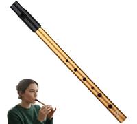 Tin Whistle - SiumPklay Premium Tin Whistles D & Penny Whistles in Gold, Authentic Irish with Six Holes, Ideal Slide Whistle s for Beginner, Intermediate Expert and Band Performance.