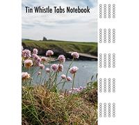 Tin Whistle Tabs Notebook: 80 Blank Sheet Music Pages 8.5x11in